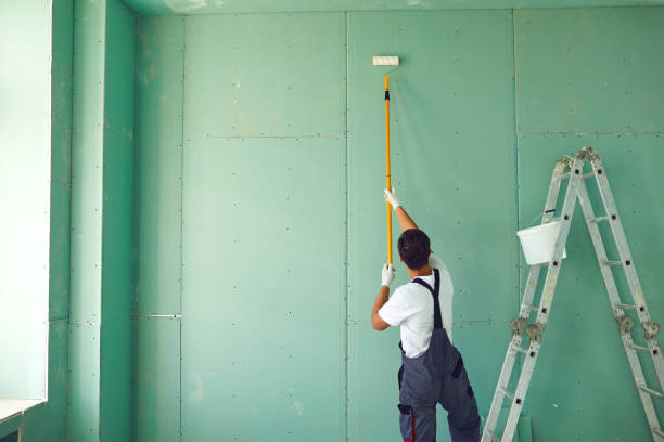 Best Black Mold Removal  in Highfill, AR