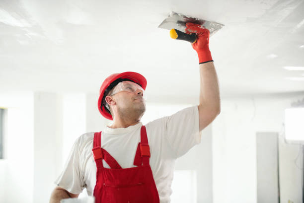 Best Mold Odor Removal Services  in Highfill, AR